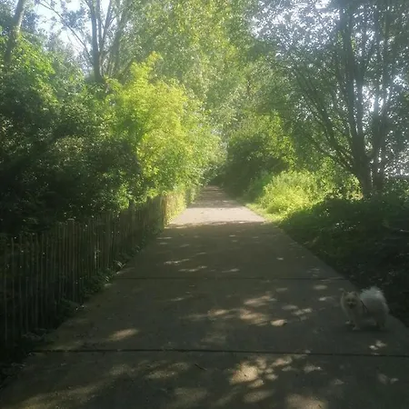 Lägenhet Zee Zon En Zwem *