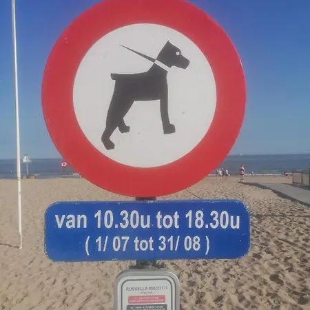 Lägenhet Zee Zon En Zwem *